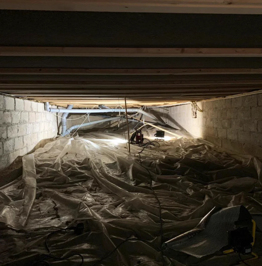 mogelsanering solna stockholm